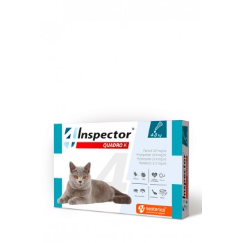 INSPECTOR QUADRO K Spot-on...