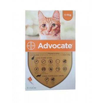 Bayer Advocate cat – за...