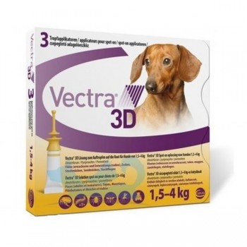 Vectra 3D – спот он форма...