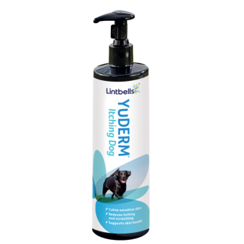 YuDERM Itching Dog
