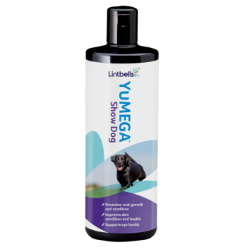 YuMEGA Show Dog
