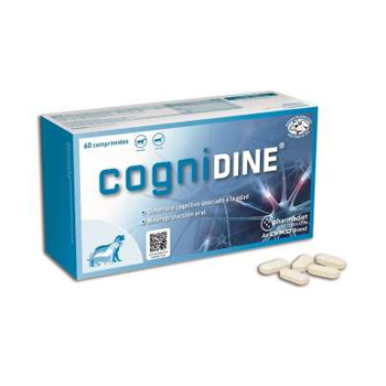 Cognidine