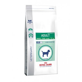 Adult Small Dog Under 10kg