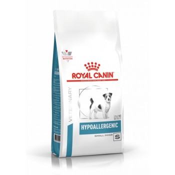 Hypoallergenic Small Dog