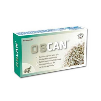 Oscan
